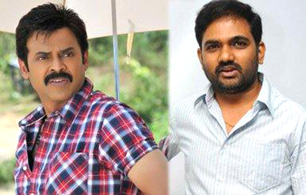 telugu hero venkatesh latest movie details,venkatesh and maruthi combo movie starts on 16th dec,bhale bhale magadivoy director maruthi,radhakrishna producing venkatesh movie  ఆ సినిమా తర్వాత మారుతి రేంజ్‌ ఏమిటి? 